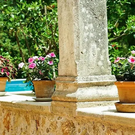 Puntxa Tatil Evi
